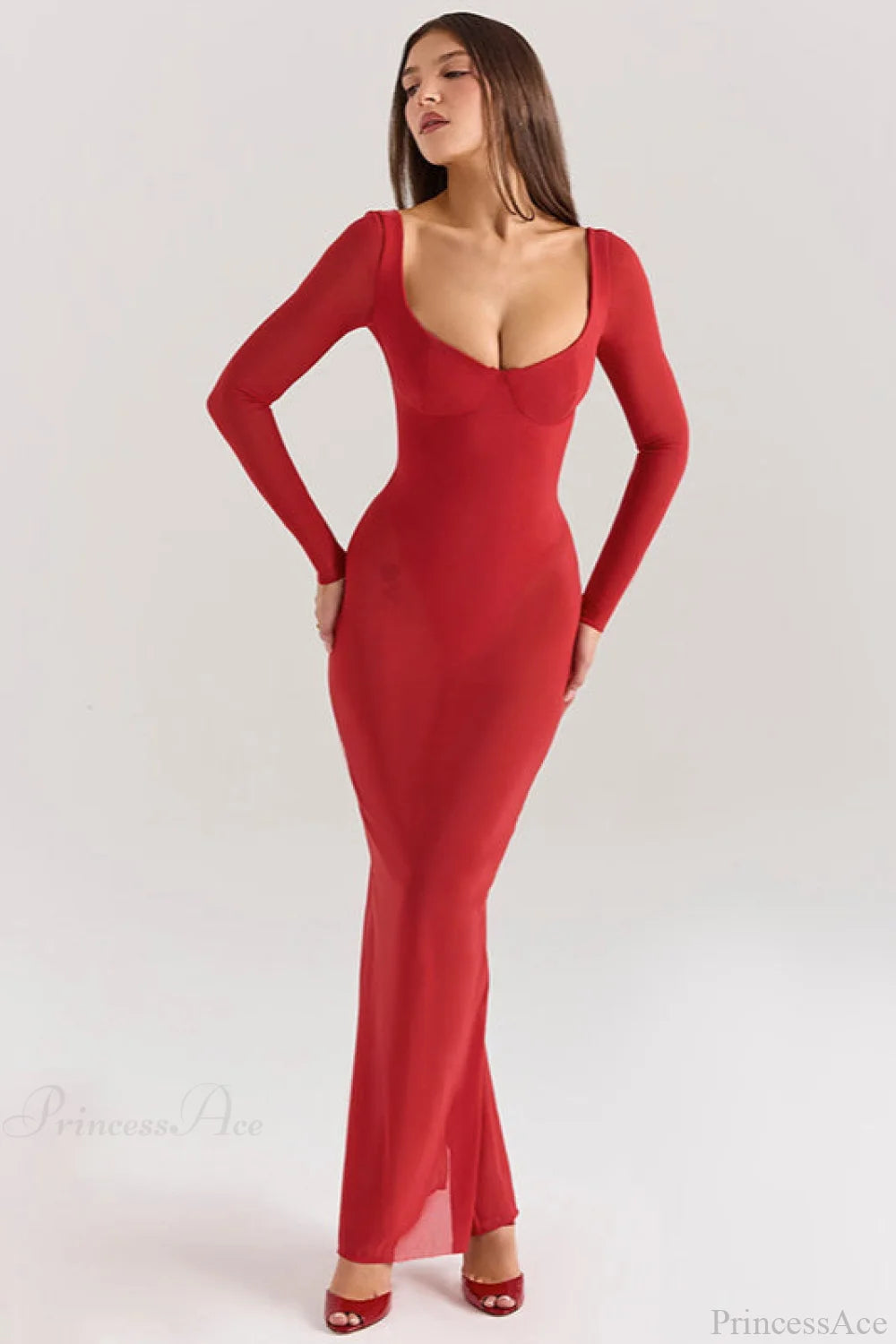 Mesh Long Sleeve Fitted Maxi Dress