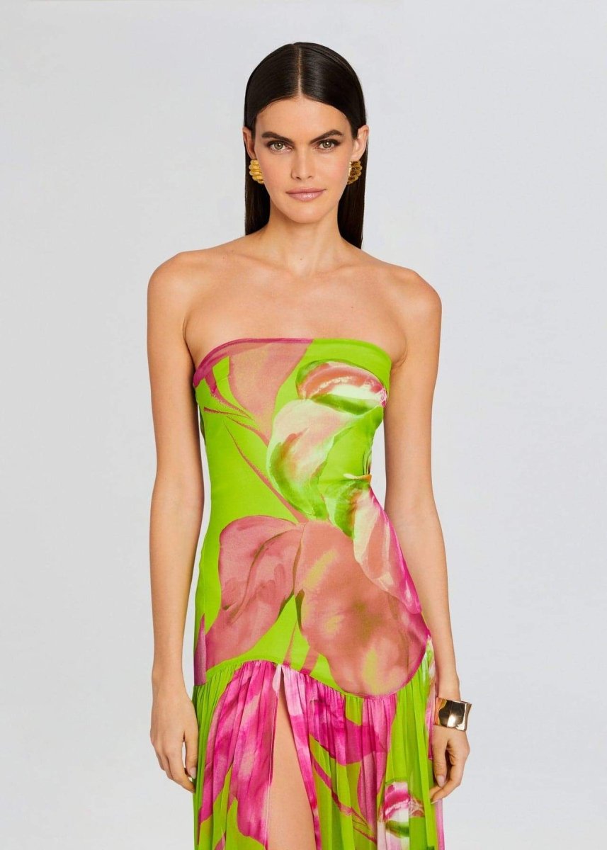 Nydia Printed Strapless Maxi Dress