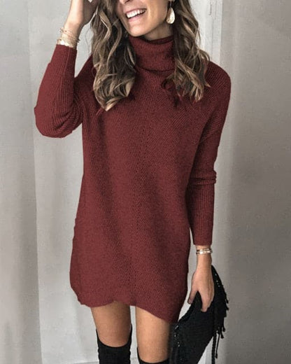 Turtleneck Long Sleeve Sweater Dress