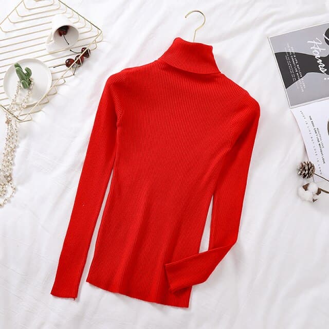 Turtelneck Soft Slim Sweater