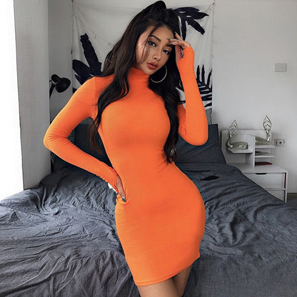 Color Turtleneck Long Sleeve Bodycon Mini Dress