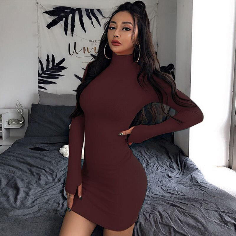 Color Turtleneck Long Sleeve Bodycon Mini Dress
